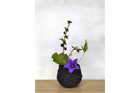 Ikebana with blue flowers