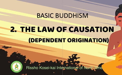 Buddhism for Beginners 2: Law of Causation / Dependent Origination